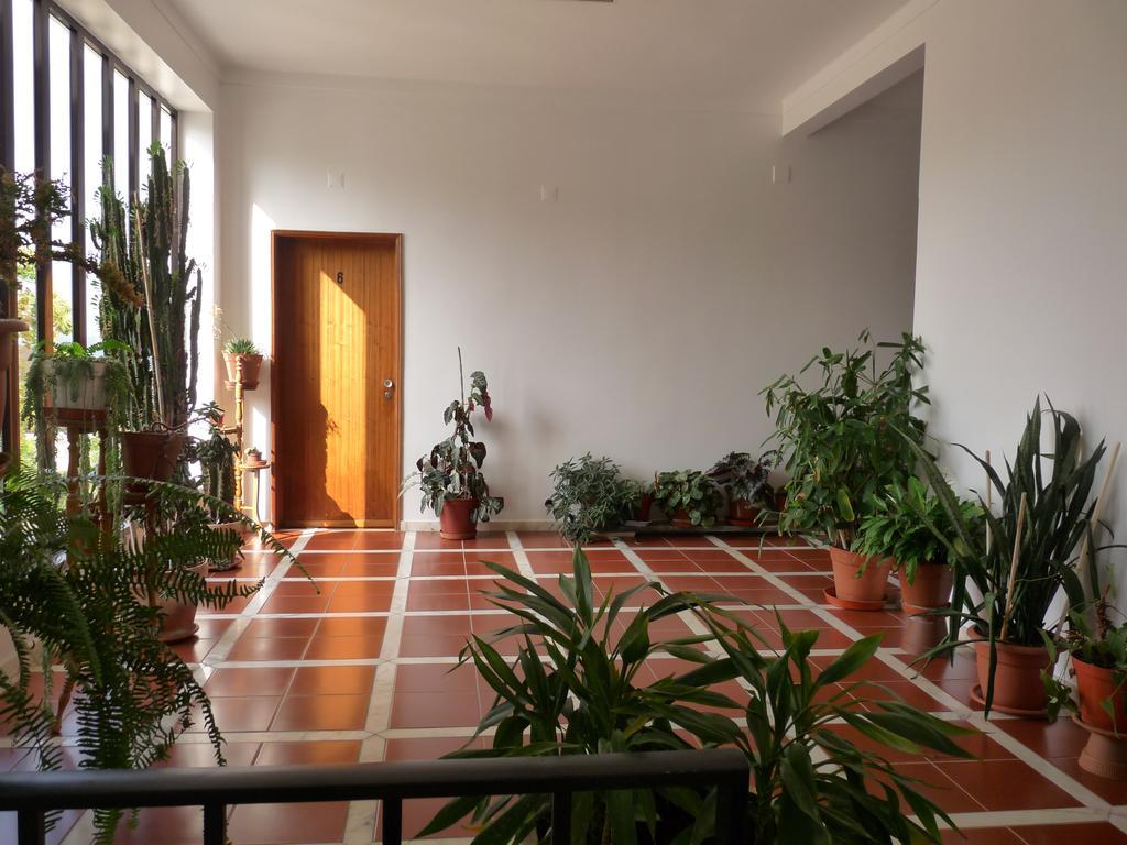 Alvaiázere Residencial O Bras酒店 外观 照片